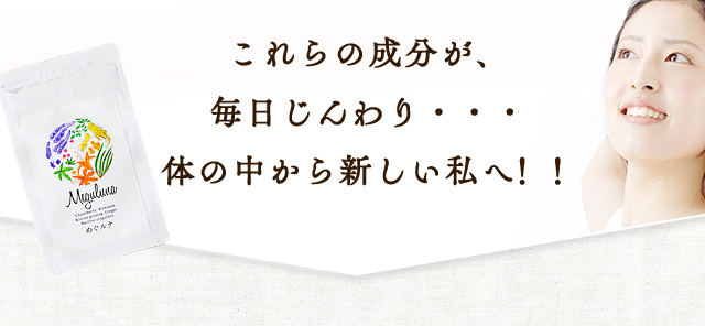 これらの成分が毎日じんわり…体の中から新しい私へ