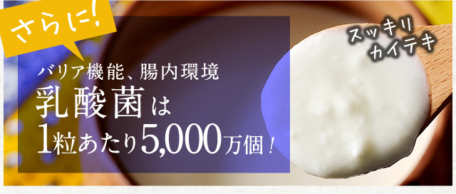 ビフィズス菌は1粒あたり5,000万個！