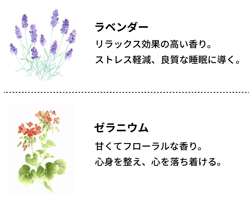 ラベンダーとゼラニウムの説明