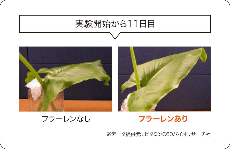 フラーレン実験
