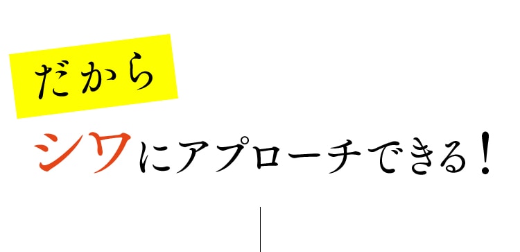 だからシワにアプローチできる！