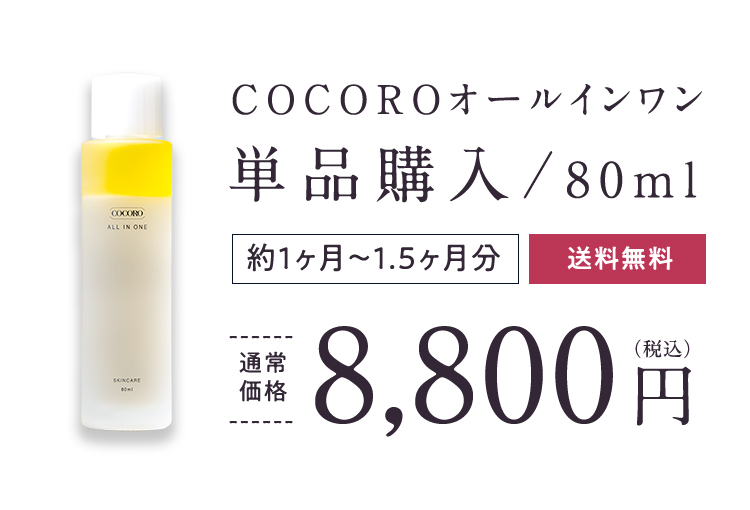 通常購入8,800円