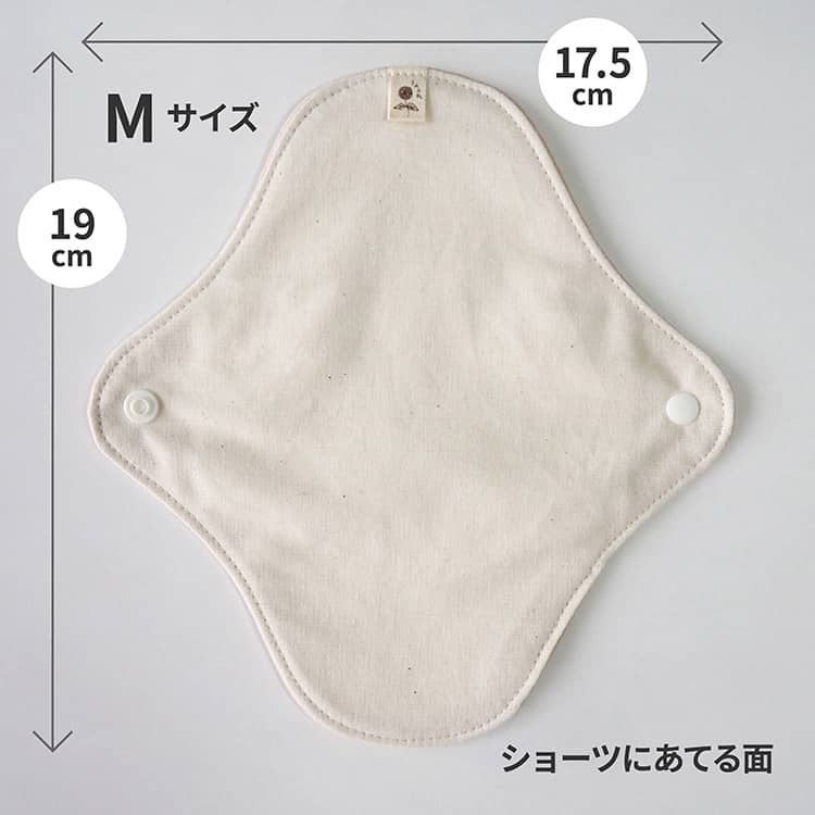 Mサイズ