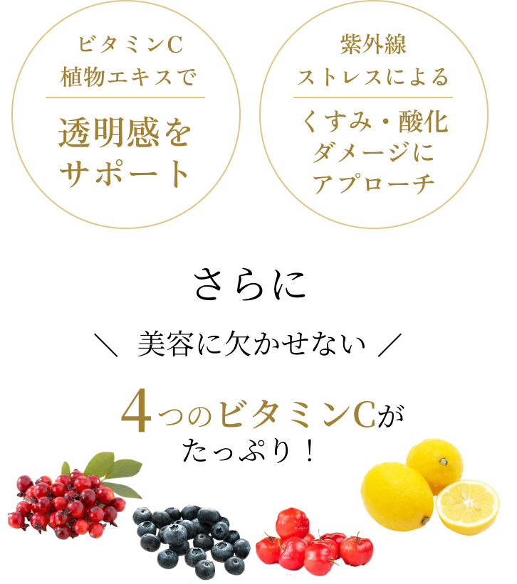 さらに美容にかかせない4つのビタミンCがたっぷり!