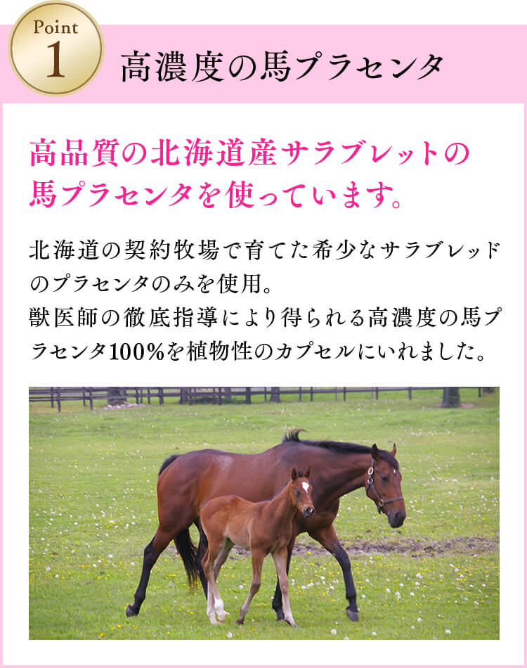 高品質の北海道産サラブレッドの馬プラセンタを使っています。