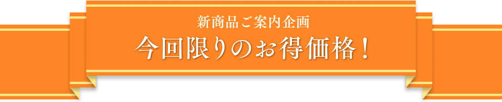 新商品ご案内企画 今回限りのお得価格！