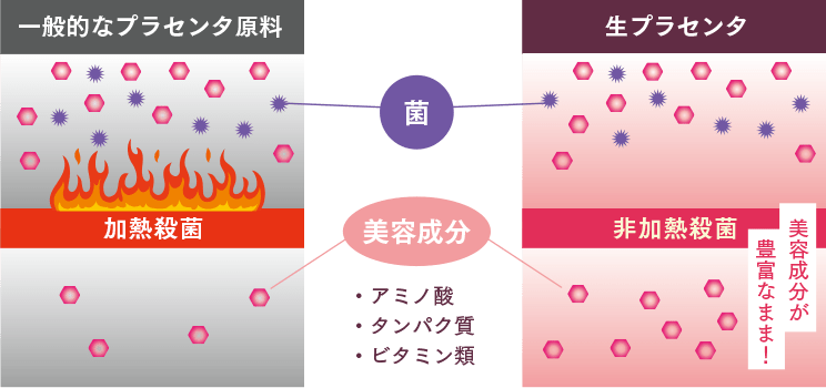 一般的なプラセンタ原料と生プラセンタの比較図