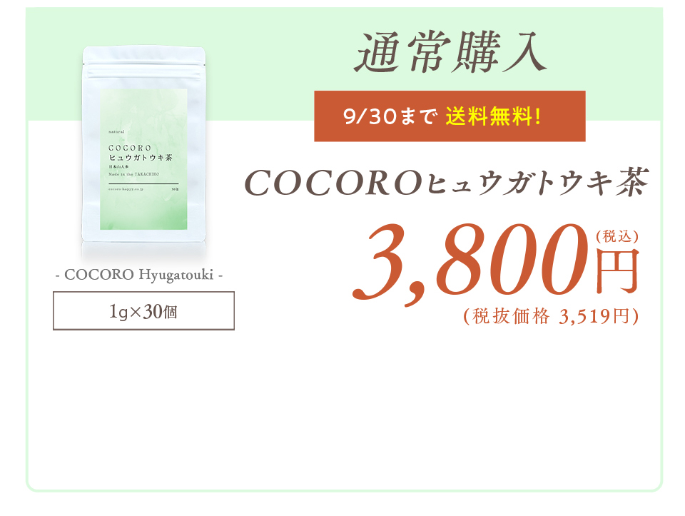 COCOROヒュウガトウキ茶 キャンペーン