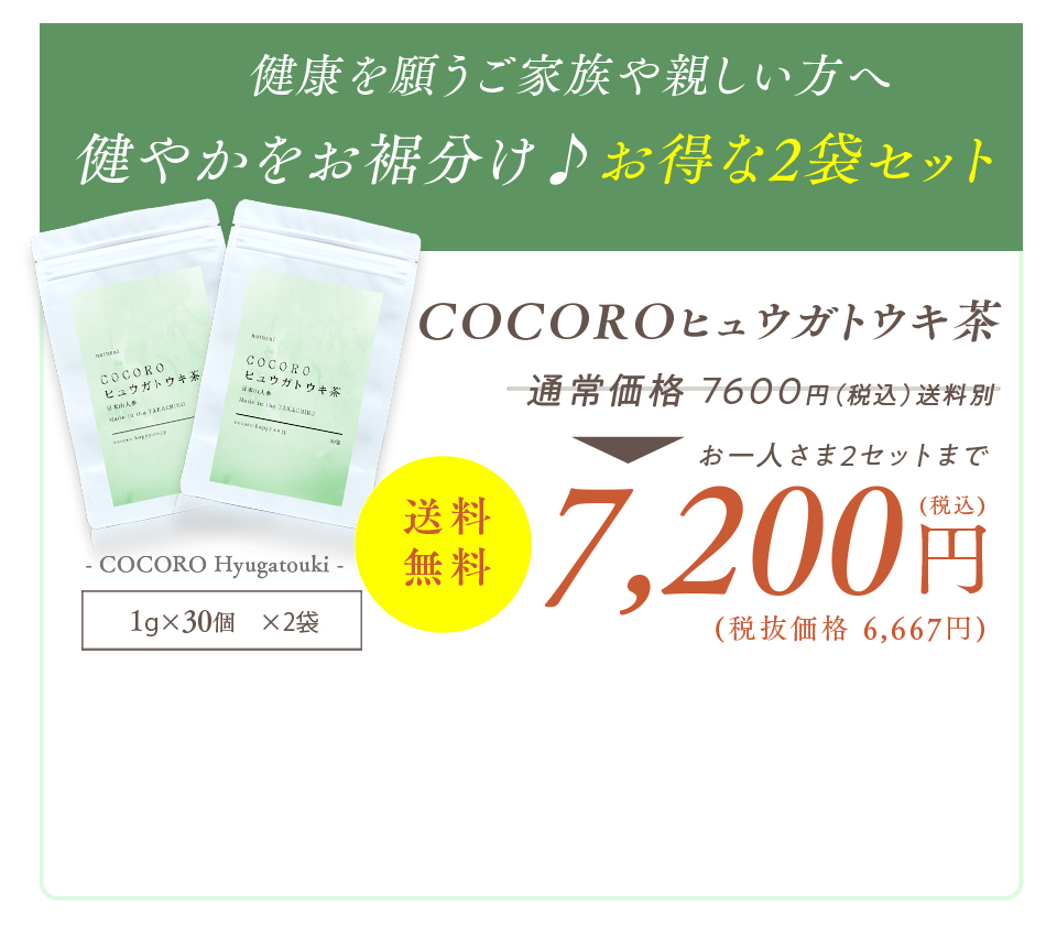 COCOROヒュウガトウキ茶 ２袋セット