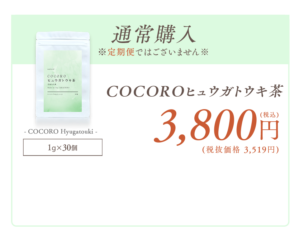 COCOROヒュウガトウキ茶 通常購入