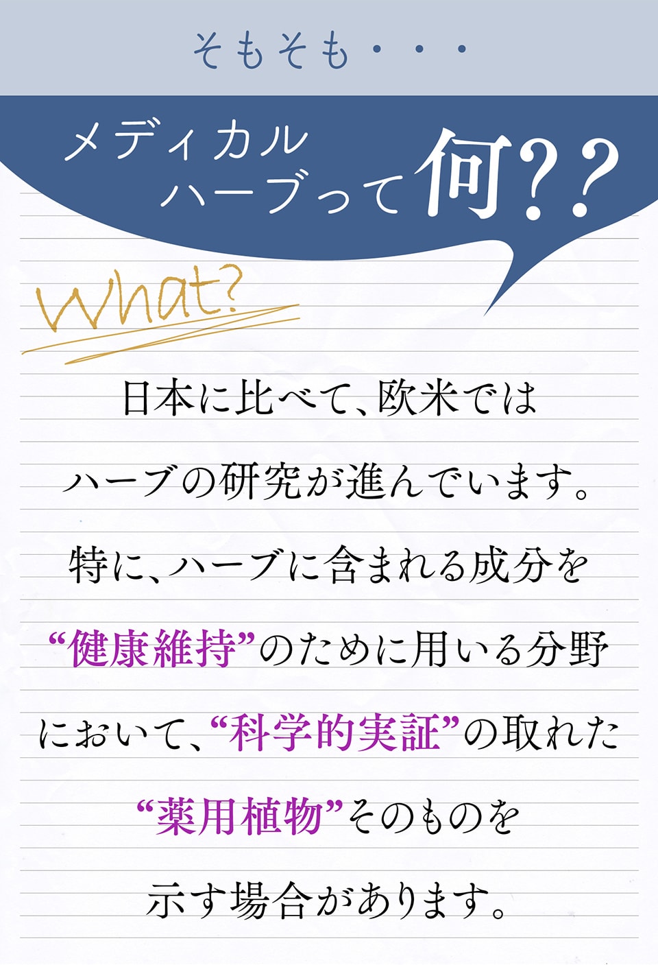 そもそも…メディカルハーブって何？？