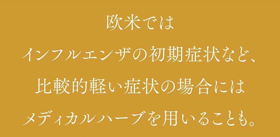 欧米では「お薬」の代わりとしてメディカルハーブを用いることも。