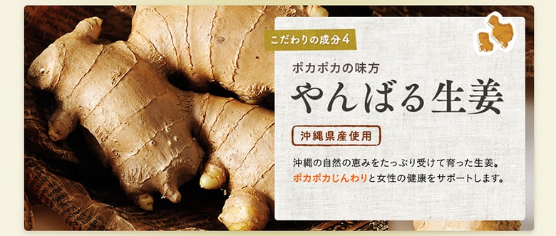 やんばる生姜