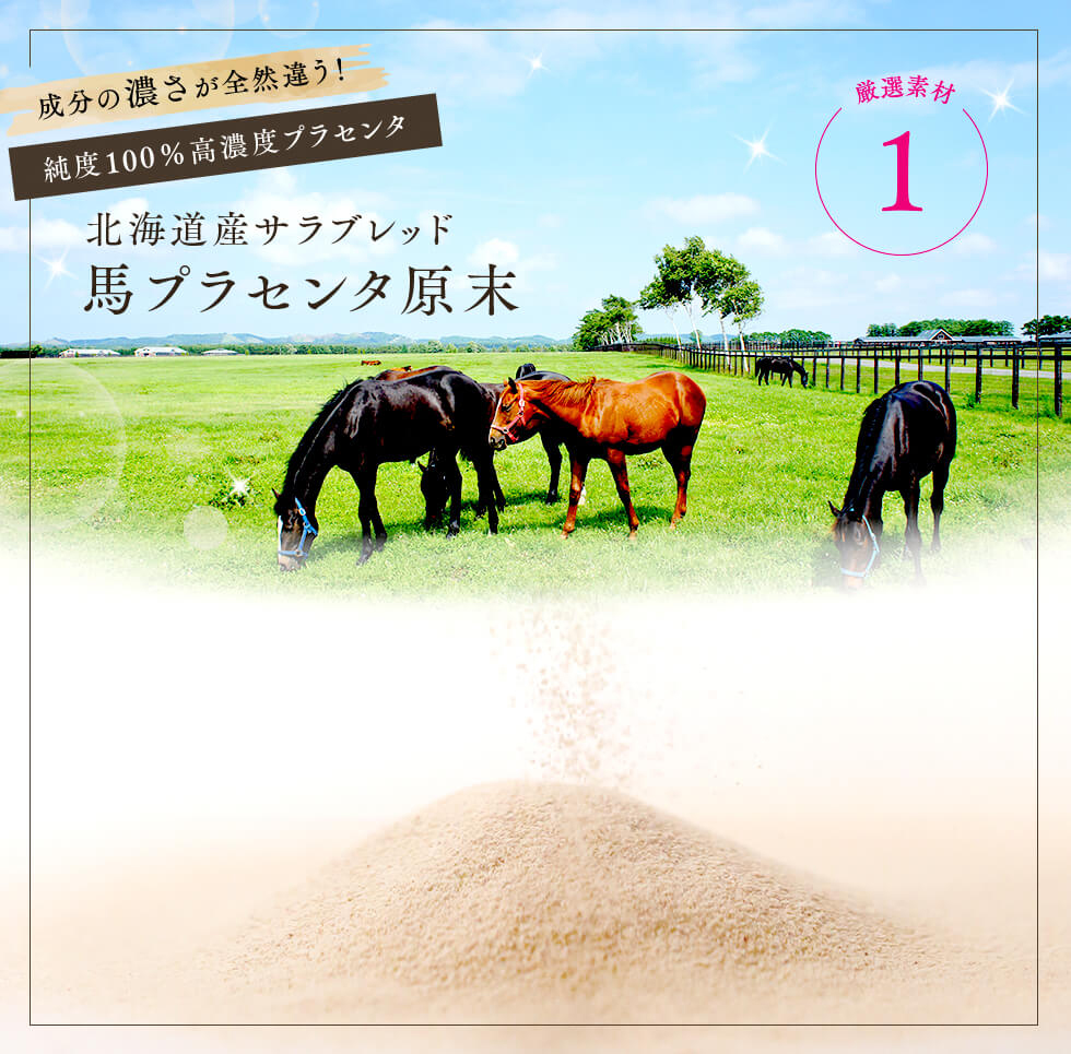 北海道産サラブレッド馬プラセンタ原末