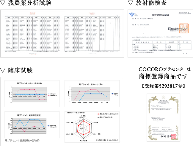 確かな実感力で愛され続けています
