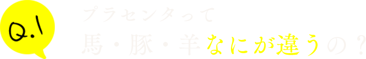 プラセンタって馬・豚・羊なにが違うの？