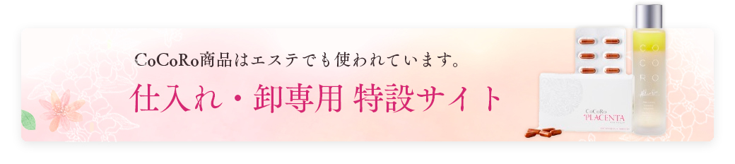 仕入れ・卸専用 特設サイト