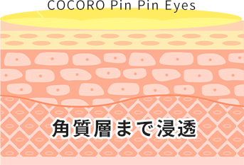 角質層まで浸透イメージ図