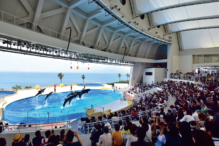 マリンワールド海の中道で”九州の海”を体感！