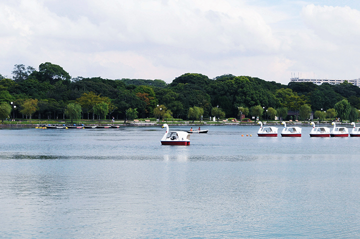 大濠公園の池