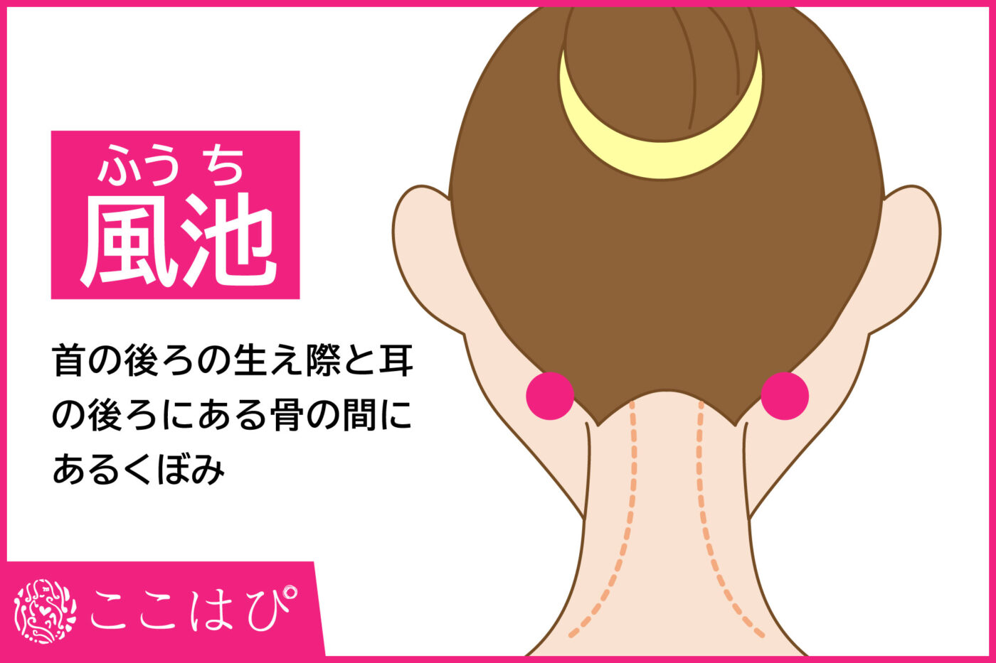 更年期の肩こり・首こりがツラい!こりの原因とセルフケアについて