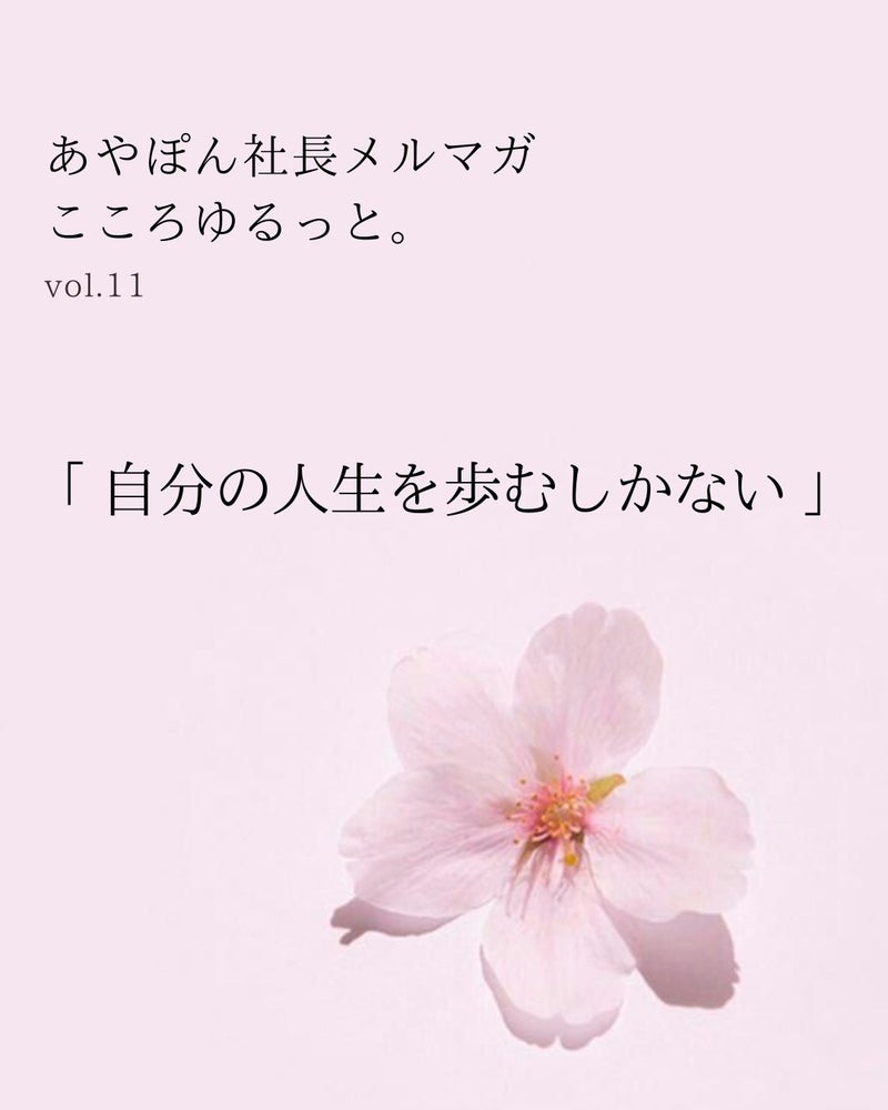 COCORO石井理夏の社長ブログ202503