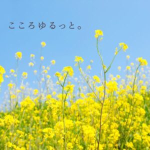 COCORO石井COCORO石井理夏の社長ブログ202404夏の社長ブログ202405