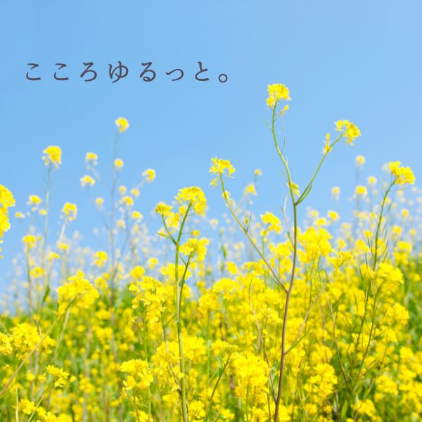COCORO石井COCORO石井理夏の社長ブログ202404夏の社長ブログ202405