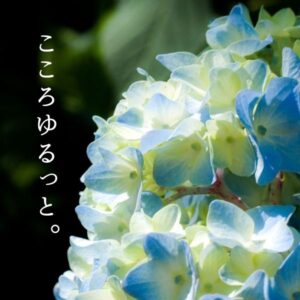 COCORO石井理夏の社長ブログ202406