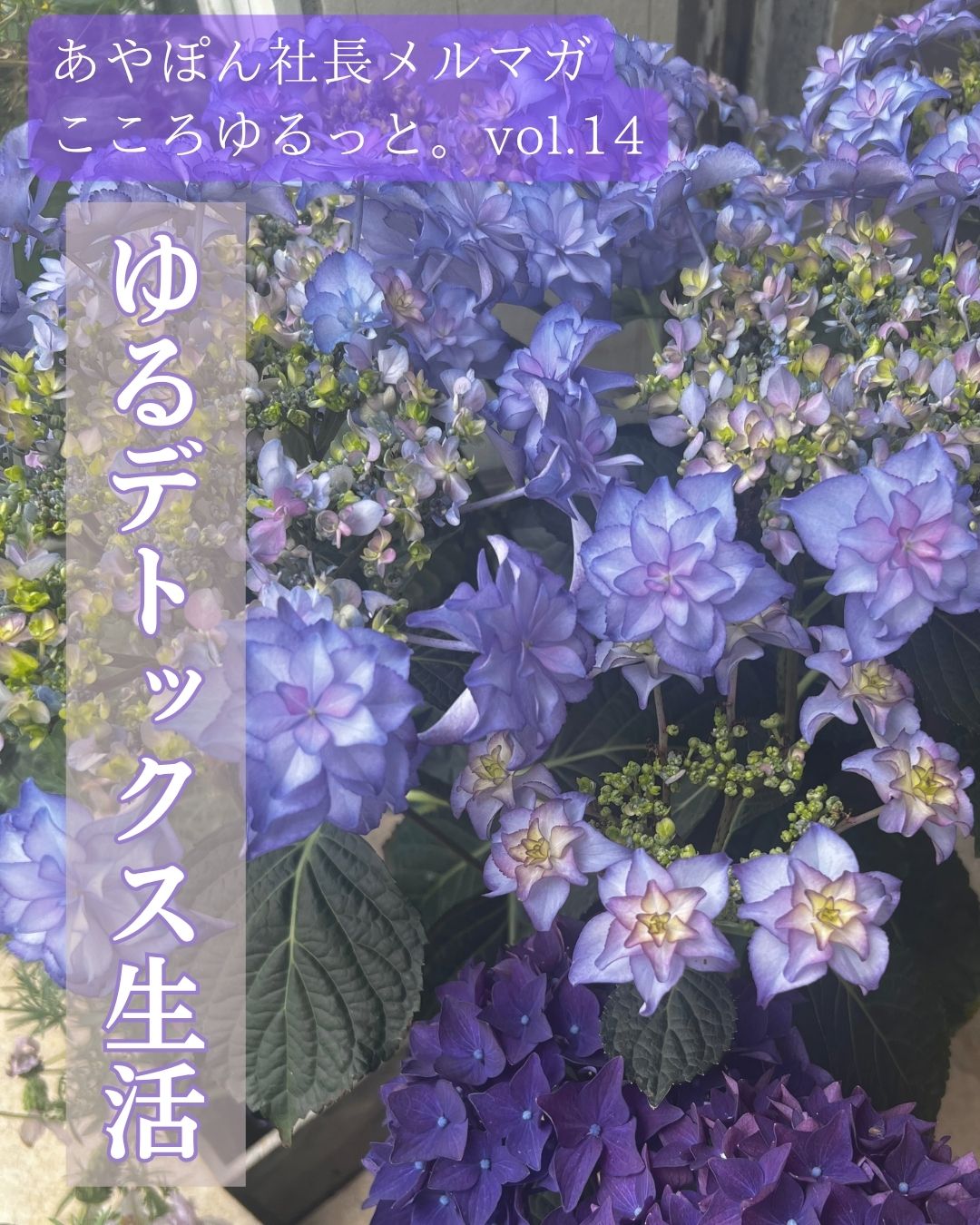 COCOROあやぽん社長ブログ