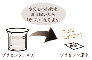 水分と不純物を取り除いた「原末」の図