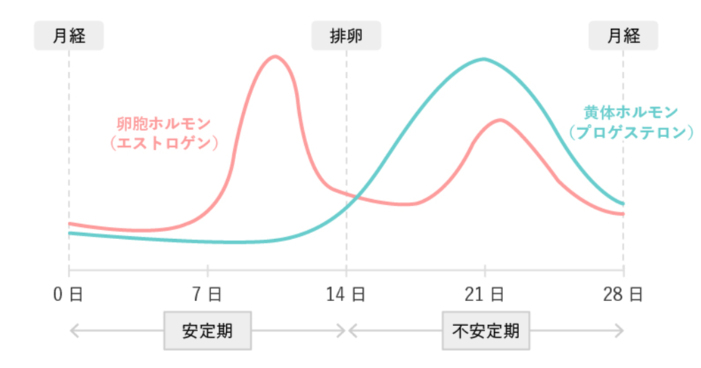 PMSの時期と女性ホルモン（エストロゲン・プロゲステロン）の関係